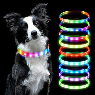 PawLight™
